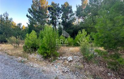 ANTALYA AKSEKİ EMİRAŞIKLAR MAHALLESİ SATILIK TEK TAPU TARLA