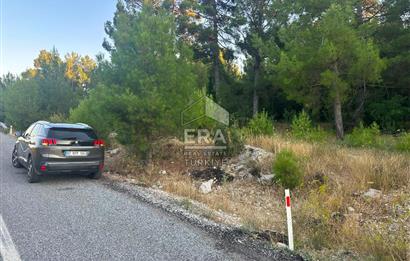 ANTALYA AKSEKİ EMİRAŞIKLAR MAHALLESİ SATILIK TEK TAPU TARLA