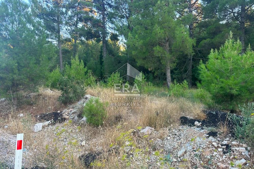 ANTALYA AKSEKİ EMİRAŞIKLAR MAHALLESİ SATILIK TEK TAPU TARLA
