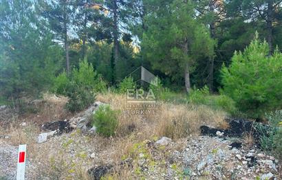 ANTALYA AKSEKİ EMİRAŞIKLAR MAHALLESİ SATILIK TEK TAPU TARLA