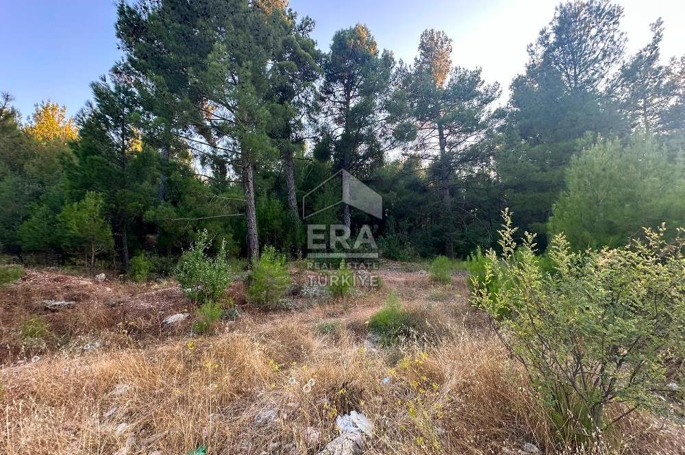 ANTALYA AKSEKİ EMİRAŞIKLAR MAHALLESİ SATILIK TEK TAPU TARLA