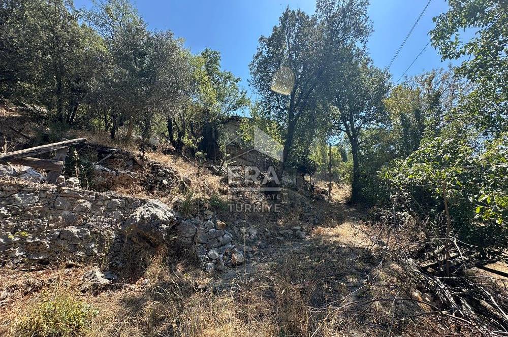 ANTALYA AKSEKİ ÇINARDİBİ MAHALLESİ SATILIK TAŞ EV ve ARAZİ