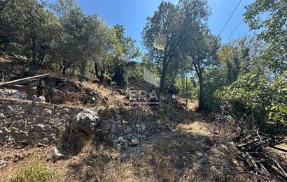 ANTALYA AKSEKİ ÇINARDİBİ MAHALLESİ SATILIK TAŞ EV ve ARAZİ
