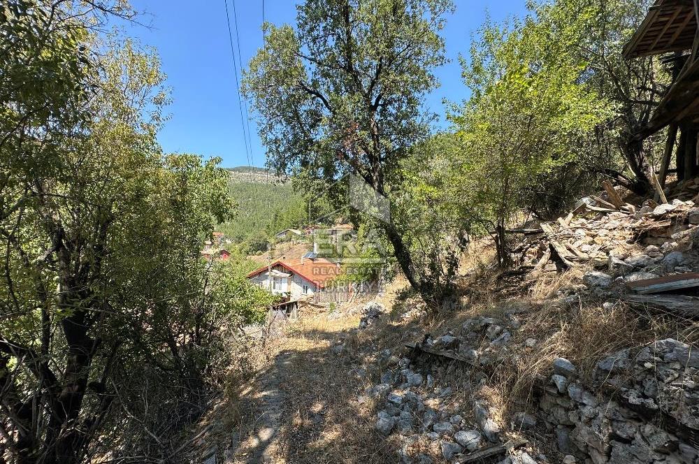 ANTALYA AKSEKİ ÇINARDİBİ MAHALLESİ SATILIK TAŞ EV ve ARAZİ