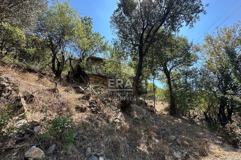 ANTALYA AKSEKİ ÇINARDİBİ MAHALLESİ SATILIK TAŞ EV ve ARAZİ