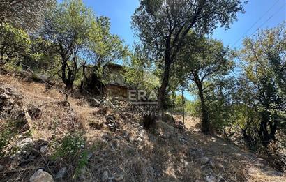 ANTALYA AKSEKİ ÇINARDİBİ MAHALLESİ SATILIK TAŞ EV ve ARAZİ