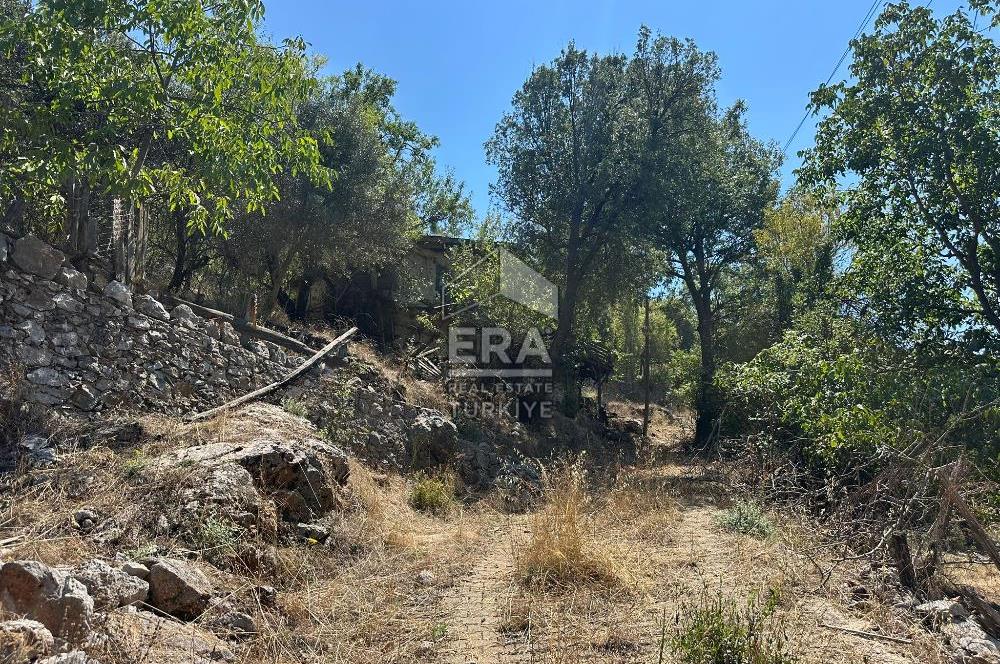 ANTALYA AKSEKİ ÇINARDİBİ MAHALLESİ SATILIK TAŞ EV ve ARAZİ