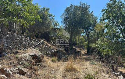 ANTALYA AKSEKİ ÇINARDİBİ MAHALLESİ SATILIK TAŞ EV ve ARAZİ