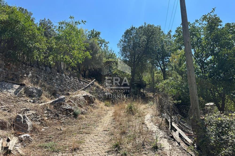 ANTALYA AKSEKİ ÇINARDİBİ MAHALLESİ SATILIK TAŞ EV ve ARAZİ