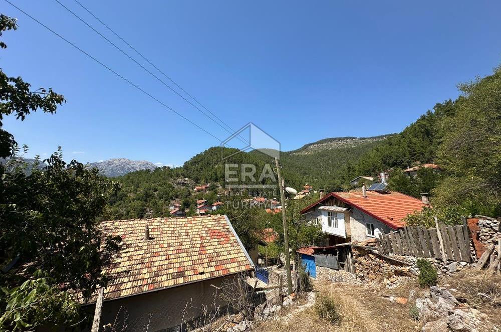 ANTALYA AKSEKİ ÇINARDİBİ MAHALLESİ SATILIK TAŞ EV ve ARAZİ