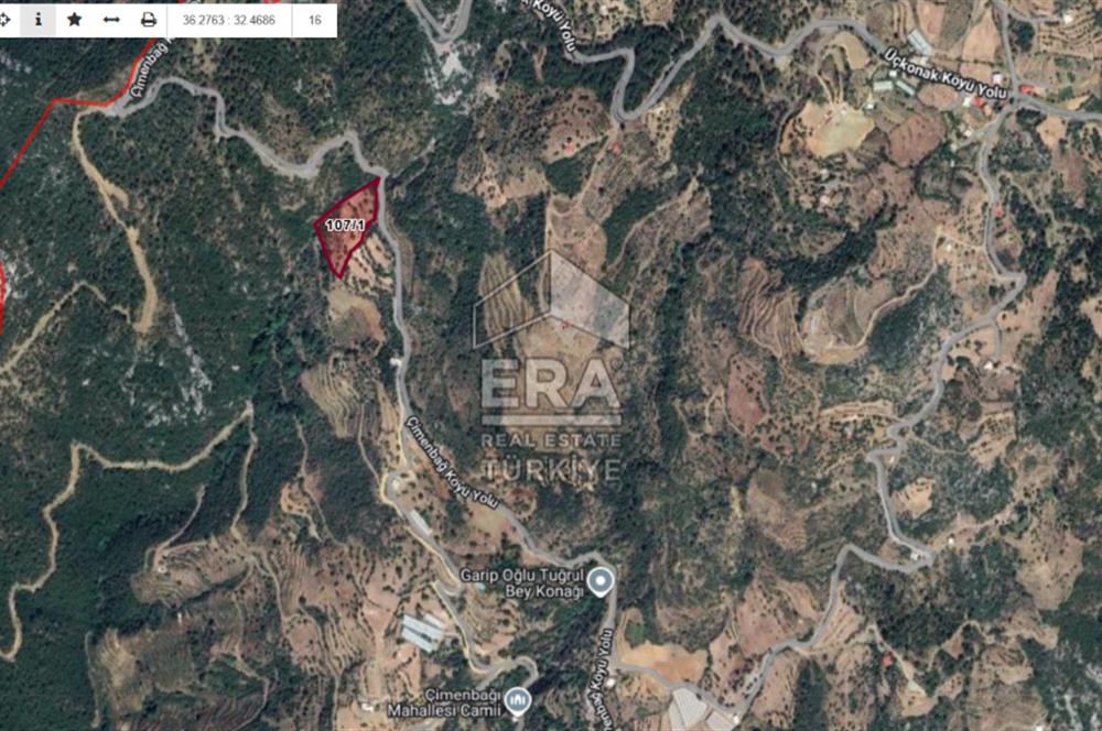 ANTALYA GAZİPAŞA ÇİMENBAĞ'DA SATILIK TARLA