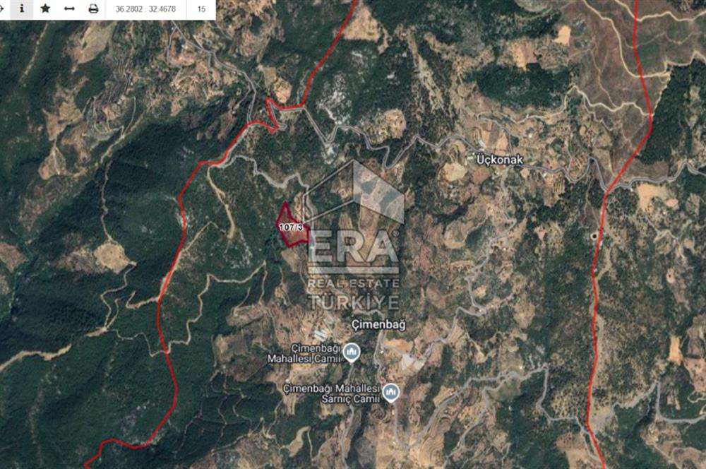 ANTALYA GAZİPAŞA ÇİMENBAĞ'DA SATILIK TARLA