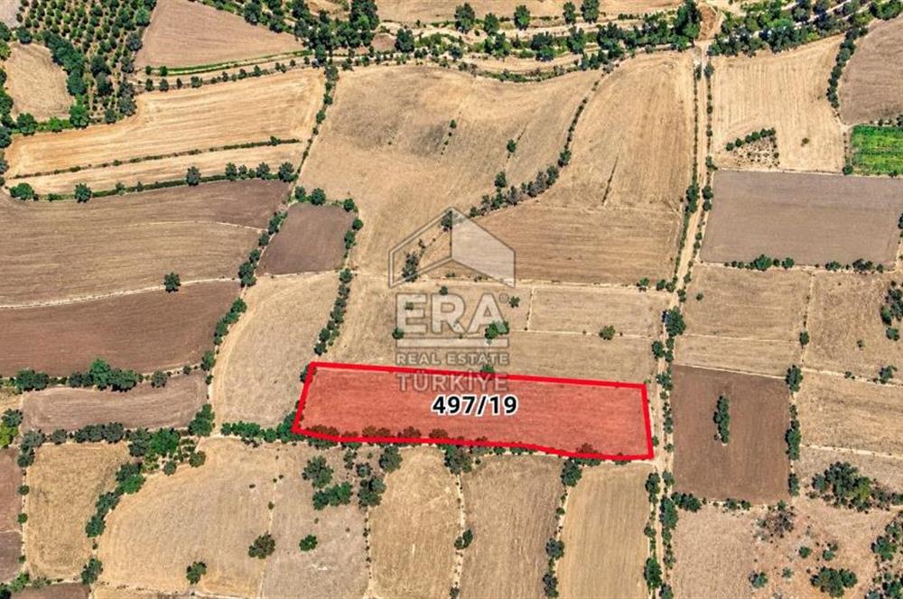 BURDUR İLİ ÇAVDIR 'DENGERE'BÖLMEPINAR'DA 6,800 m2 TEK TAPU TARLA