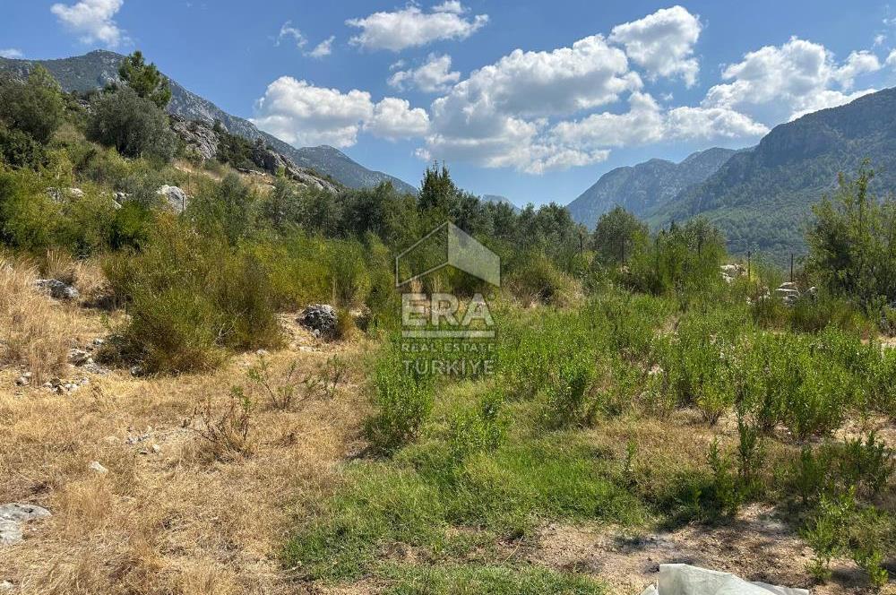 ANTALYA AKSEKİ SİNANHOCA MAHALLESİ SATILIK ARSA