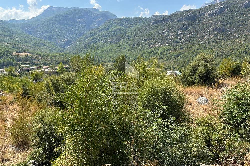 ANTALYA AKSEKİ SİNANHOCA MAHALLESİ SATILIK TEK TAPU TARLA