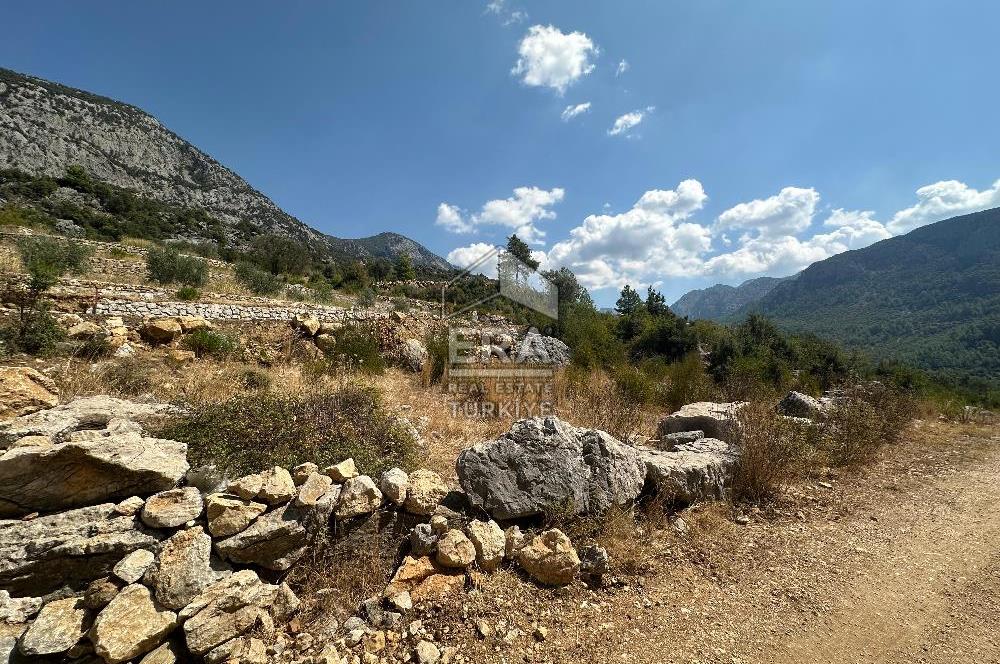ANTALYA AKSEKİ SİNANHOCA MAHALLESİ SATILIK TEK TAPU TARLA