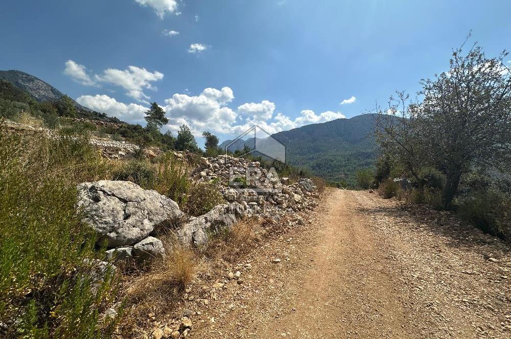 ANTALYA AKSEKİ SİNANHOCA MAHALLESİ SATILIK TEK TAPU TARLA