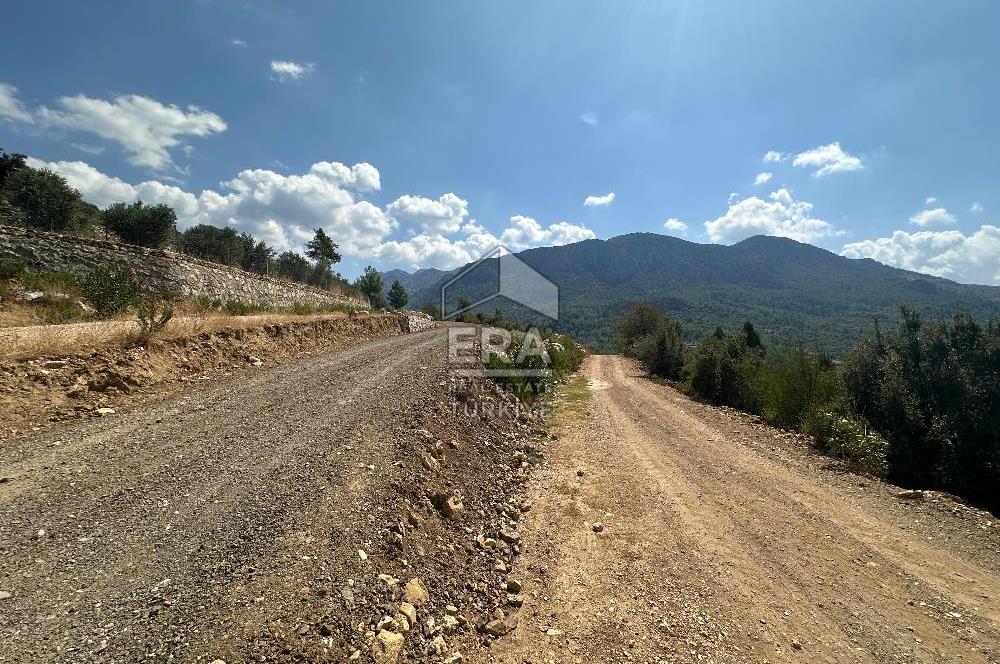 ANTALYA AKSEKİ SİNANHOCA MAHALLESİ SATILIK TEK TAPU TARLA