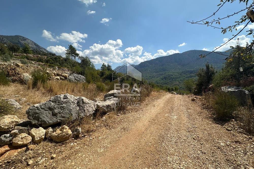 ANTALYA AKSEKİ SİNANHOCA MAHALLESİ SATILIK TEK TAPU TARLA