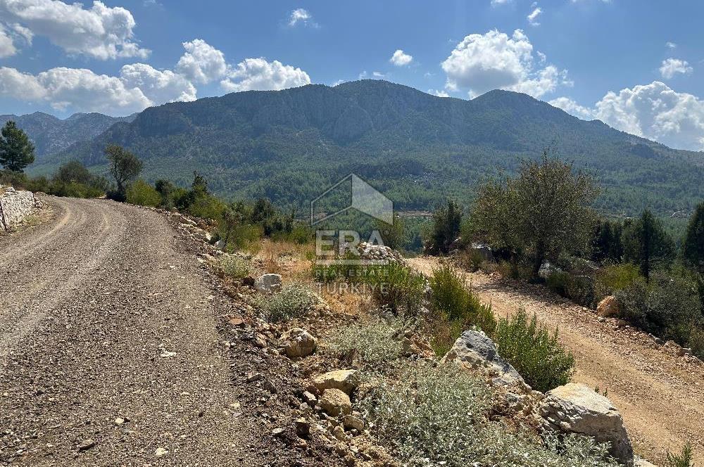 ANTALYA AKSEKİ SİNANHOCA MAHALLESİ SATILIK TEK TAPU TARLA