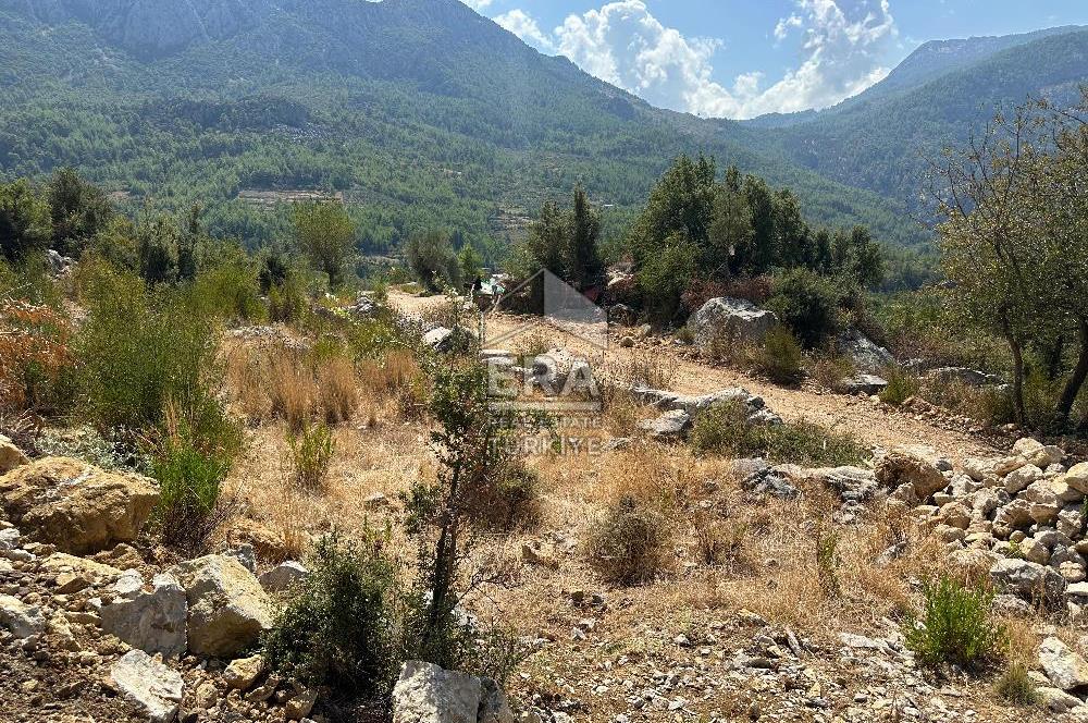 ANTALYA AKSEKİ SİNANHOCA MAHALLESİ SATILIK TEK TAPU TARLA