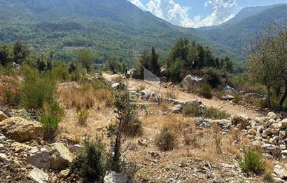ANTALYA AKSEKİ SİNANHOCA MAHALLESİ SATILIK TEK TAPU TARLA
