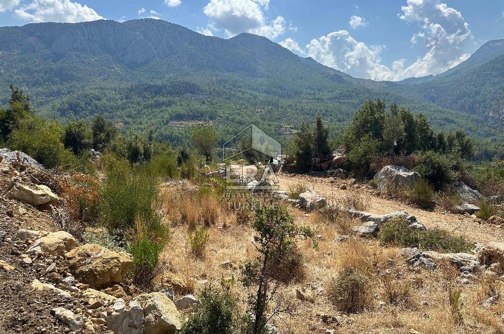 ANTALYA AKSEKİ SİNANHOCA MAHALLESİ SATILIK TEK TAPU TARLA