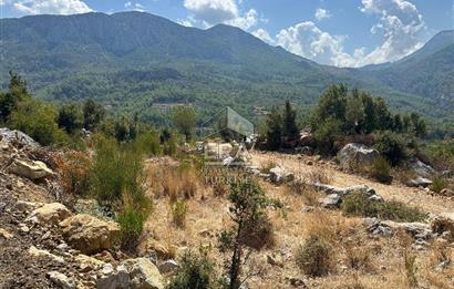 ANTALYA AKSEKİ SİNANHOCA MAHALLESİ SATILIK TEK TAPU TARLA