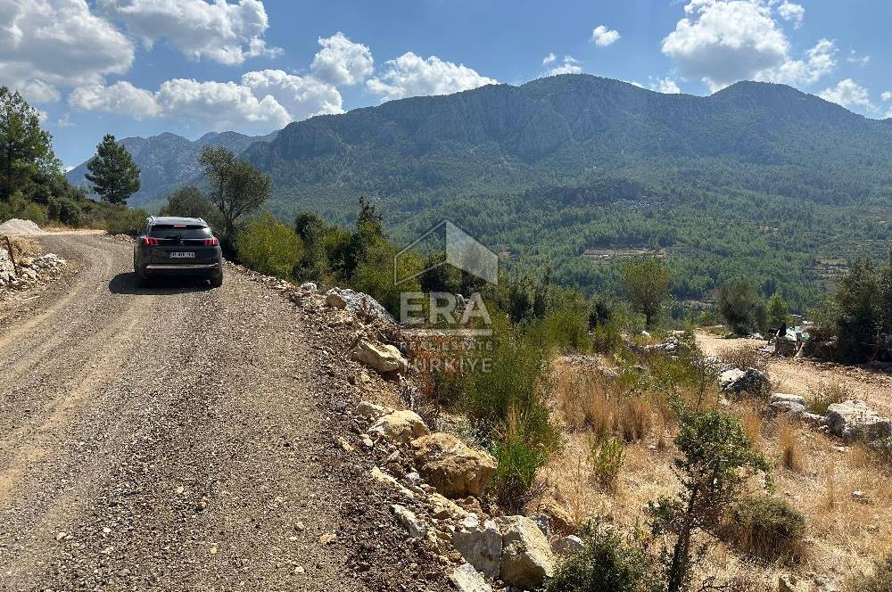 ANTALYA AKSEKİ SİNANHOCA MAHALLESİ SATILIK TEK TAPU TARLA