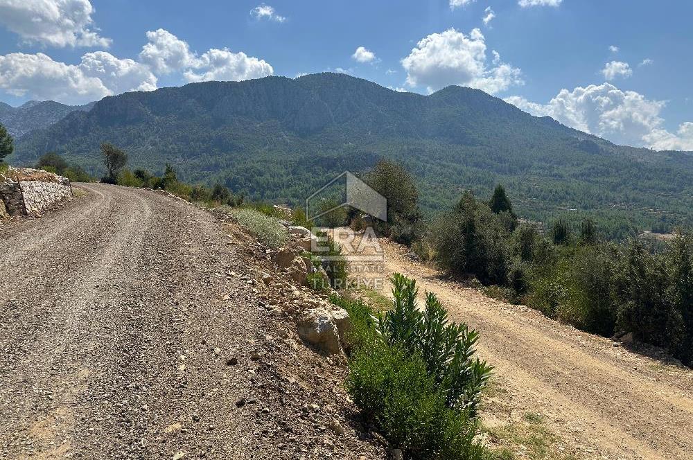 ANTALYA AKSEKİ SİNANHOCA MAHALLESİ SATILIK TEK TAPU TARLA