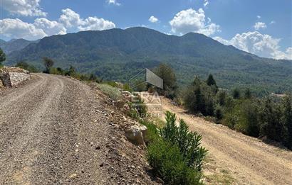 ANTALYA AKSEKİ SİNANHOCA MAHALLESİ SATILIK TEK TAPU TARLA