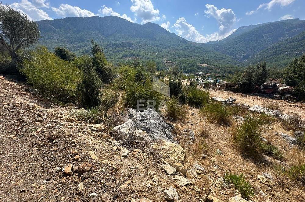 ANTALYA AKSEKİ SİNANHOCA MAHALLESİ SATILIK TEK TAPU TARLA