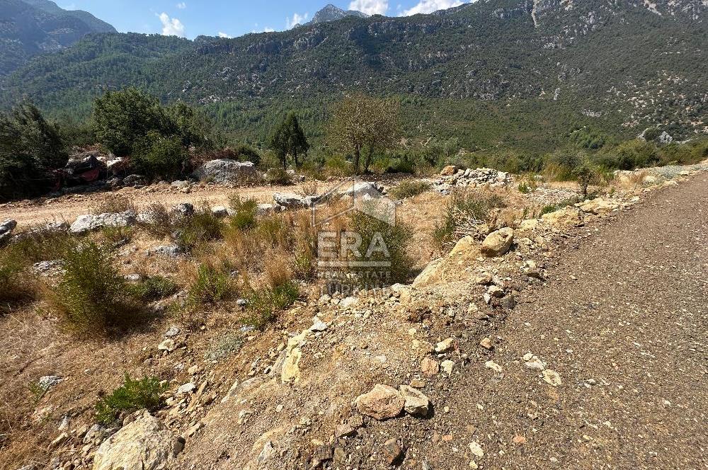 ANTALYA AKSEKİ SİNANHOCA MAHALLESİ SATILIK TEK TAPU TARLA