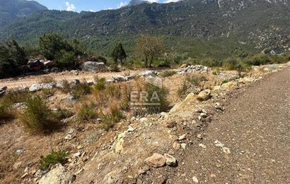 ANTALYA AKSEKİ SİNANHOCA MAHALLESİ SATILIK TEK TAPU TARLA