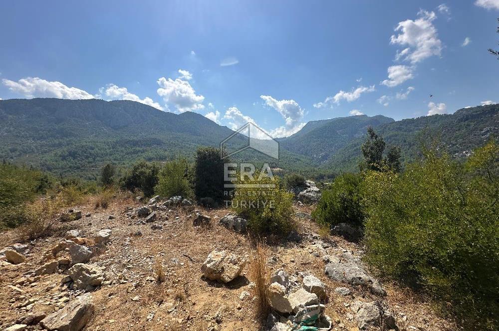 ANTALYA AKSEKİ SİNANHOCA MAHALLESİ SATILIK TEK TAPU TARLA