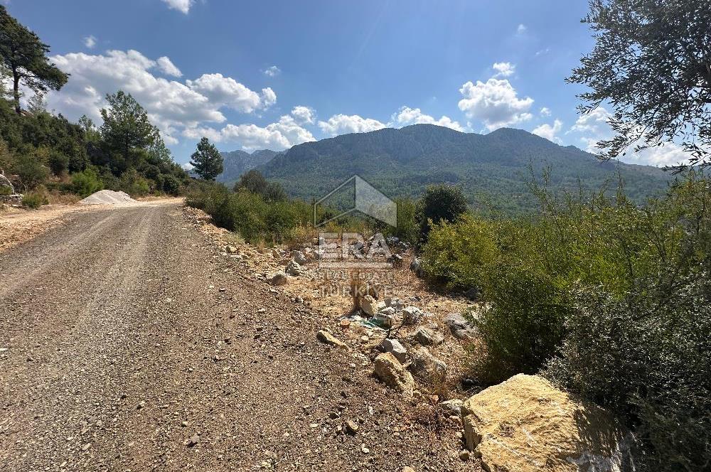 ANTALYA AKSEKİ SİNANHOCA MAHALLESİ SATILIK TEK TAPU TARLA