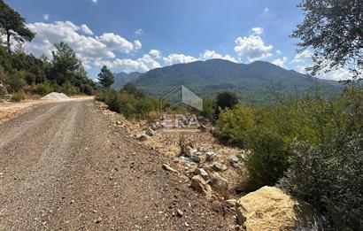 ANTALYA AKSEKİ SİNANHOCA MAHALLESİ SATILIK TEK TAPU TARLA