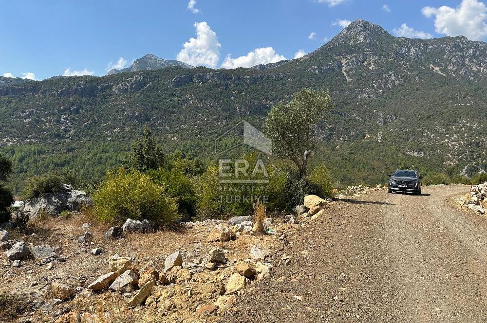 ANTALYA AKSEKİ SİNANHOCA MAHALLESİ SATILIK TEK TAPU TARLA