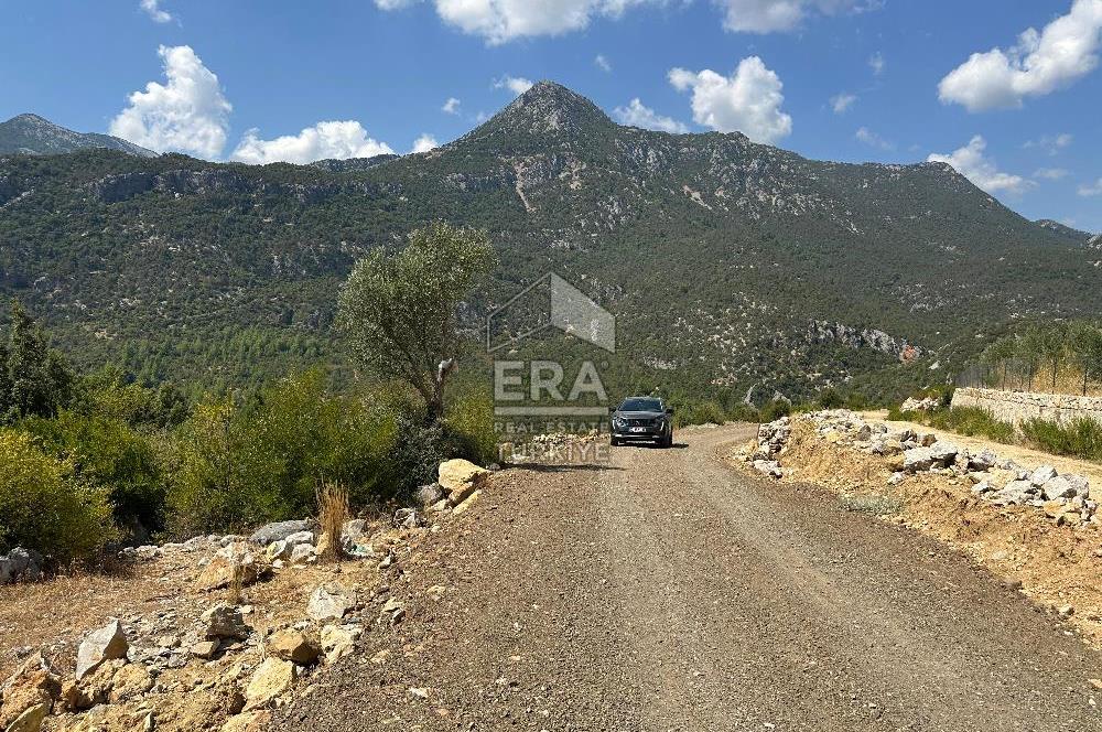 ANTALYA AKSEKİ SİNANHOCA MAHALLESİ SATILIK TEK TAPU TARLA