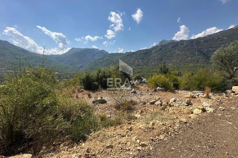 ANTALYA AKSEKİ SİNANHOCA MAHALLESİ SATILIK TEK TAPU TARLA