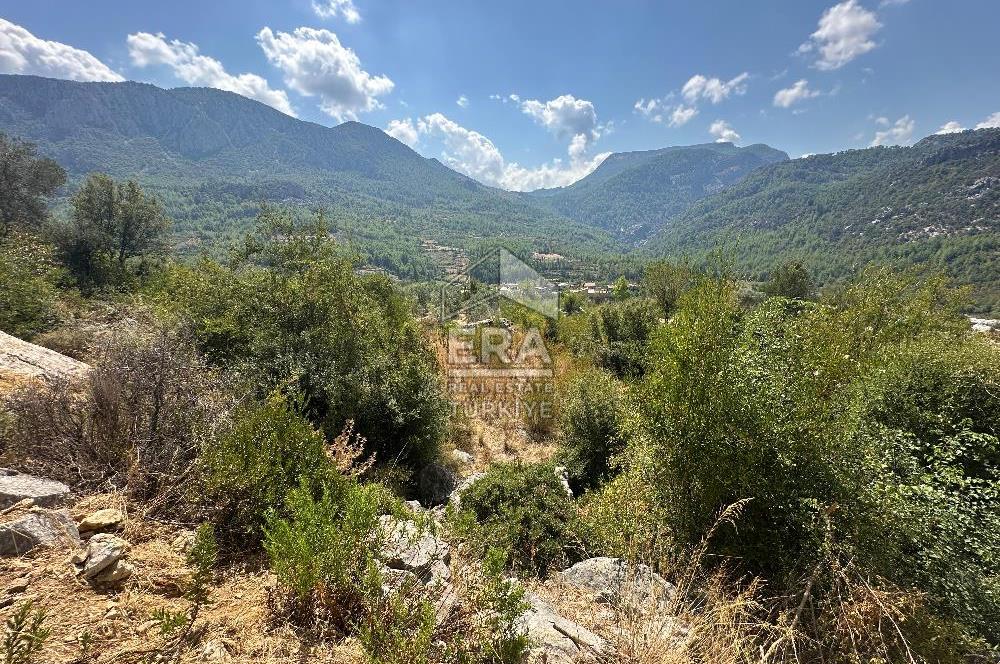 ANTALYA AKSEKİ SİNANHOCA MAHALLESİ SATILIK TEK TAPU TARLA