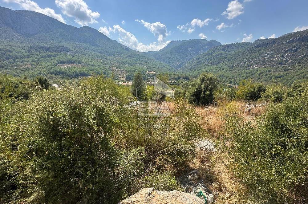 ANTALYA AKSEKİ SİNANHOCA MAHALLESİ SATILIK TEK TAPU TARLA