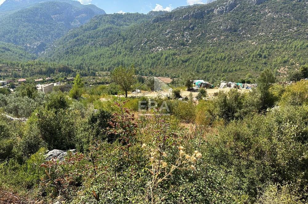 ANTALYA AKSEKİ SİNANHOCA MAHALLESİ SATILIK TEK TAPU TARLA