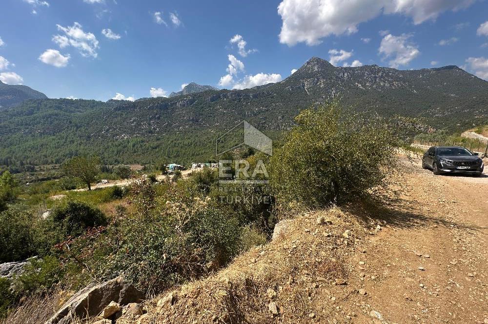 ANTALYA AKSEKİ SİNANHOCA MAHALLESİ SATILIK TEK TAPU TARLA