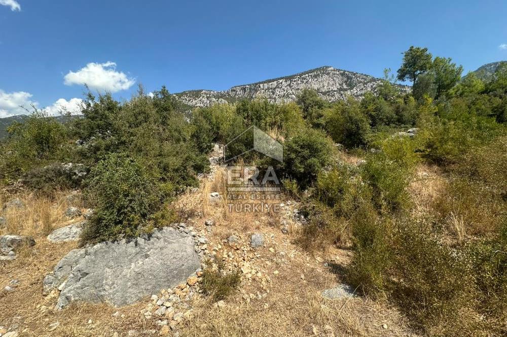 ANTALYA AKSEKİ SİNANHOCA MAHALLESİ SATILIK ARSA