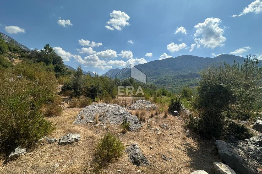 ANTALYA AKSEKİ SİNANHOCA MAHALLESİ SATILIK ARSA