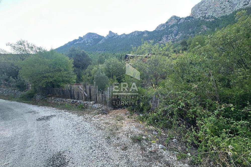 ANTALYA İBRADI ÜZÜMDERE MAHALLESİ SATILIK TEK TAPU TARLA