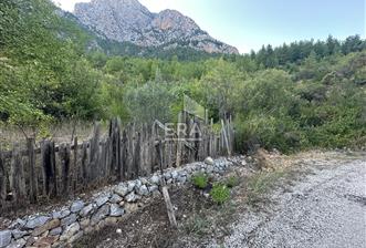 ANTALYA İBRADI ÜZÜMDERE MAHALLESİ SATILIK TEK TAPU TARLA - 5 - 15644