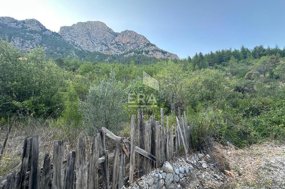 ANTALYA İBRADI ÜZÜMDERE MAHALLESİ SATILIK TEK TAPU TARLA
