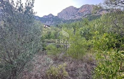 ANTALYA İBRADI ÜZÜMDERE MAHALLESİ SATILIK TEK TAPU TARLA